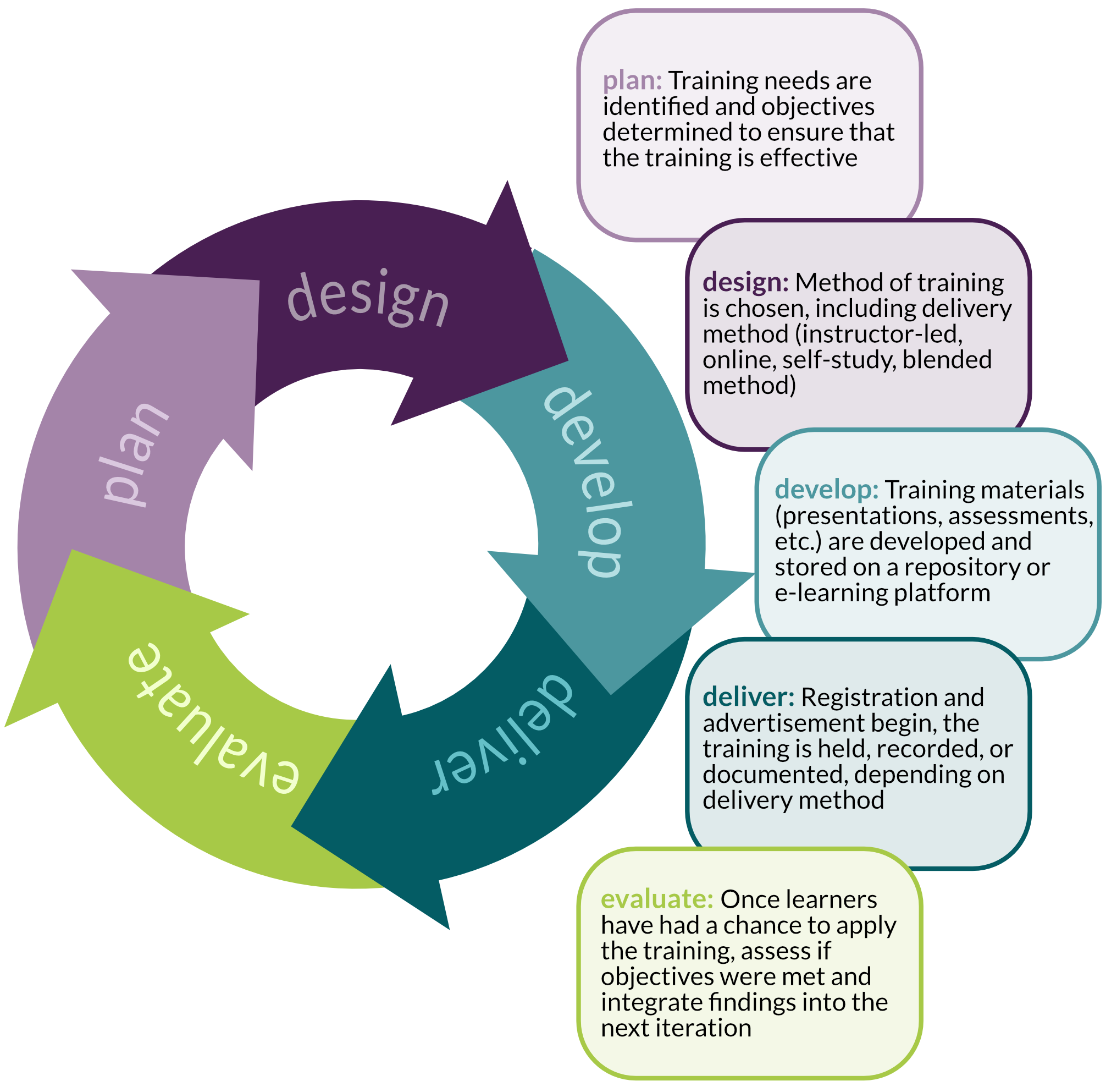 training cycle