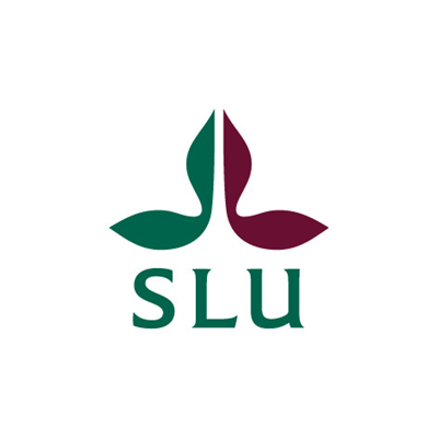 content provider SLU image